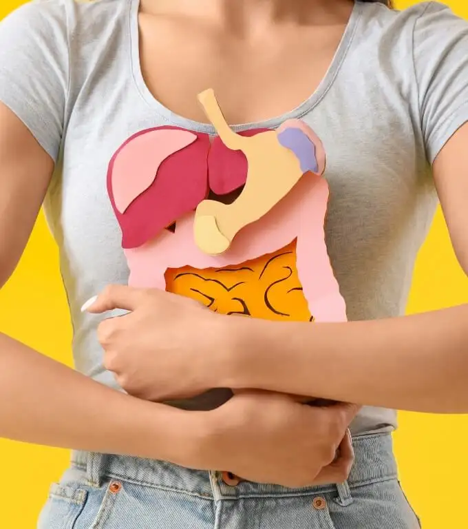 Naturopathic Treatment for Digestive Health in Toronto